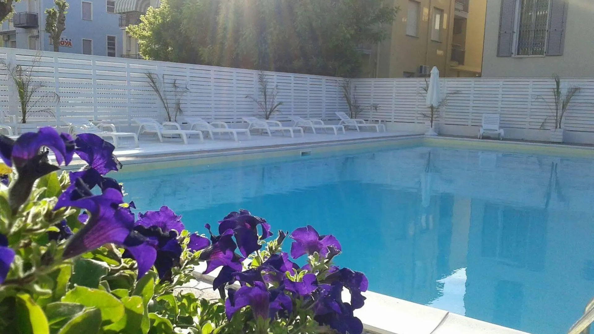 Hotel Lady Rimini